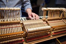 Piano maker, Bavaria, Germany