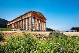 Tempel, Segesta, Sizilien, Italien, Europa