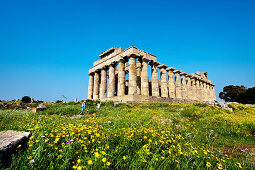 Temple E, Selinute, Sicily, Italy