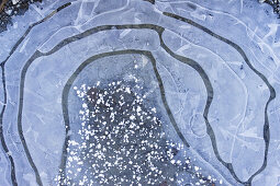 Ice patterns on a puddle, Bavaria, Germany