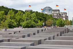 Holocaust-Denkmal, Reichstag im Hintergrund, Berlin, Deutschland