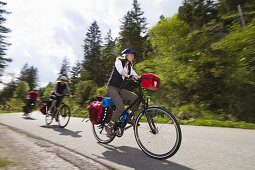 Cycling tour, Isar Cycle Route between Wallgau and Vorderriss, Upper Bavaria, Germany