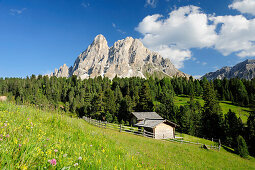 Mountain meadow and huts in front of Peitlerkofel, Dolomites, UNESCO World Heritage Site Dolomites, South Tyrol, Italy