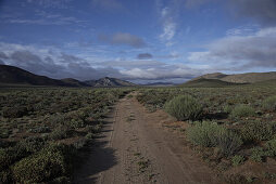 Earth road in green veld landscape, Fishriver Canyon Park, Namibia, Africa