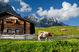 Brandstätt alm hut in the region of Hochkönig, Salzburger Land, Austria