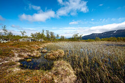 Mountain lake Björkliden, Lapland, northern Sweden, Sweden