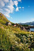 House at Nappstraumen, Vestvågøya island, Lofoten Islands, North Norway, Norway