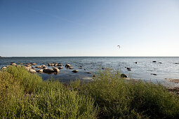 Kitesurfer am Bodden, Insel Rügen, Ostsee, Mecklenburg-Vorpommern, Deutschland