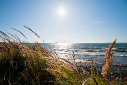 Küste bei Sassnitz, Insel Rügen, Ostsee, Mecklenburg-Vorpommern, Deutschland