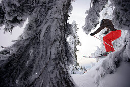 Skier between snow-covered trees, Cypress Mountain, British Columbia, Canada