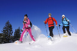 People snowshoeing, Hemmersuppenalm, Reit im Winkl, Chiemgau, Upper Bavaria, Bavaria, Germany, Europe