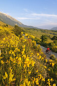 Radfahrer vor dem Monte Amaro, Caramanico Terme, San Eufemia a Maiella, Maiella Nationalpark, Abruzzen, Italien, Europa