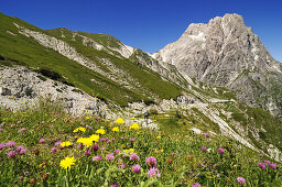 Mountainbiker am Corno Grande unter blauem Himmel, Campo Imperatore, Gran Sasso Nationalpark, Abruzzen, Italien, Europa