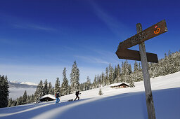 Menschen bei Skitour durch verschneite Landschaft, Dürrnbachhorn, Reit im Winkl, Chiemgau, Oberbayern, Bayern, Deutschland, Europa