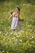 Blume, Feld, Frühling, jung, Mädchen, Weiblich, F57-1147466, AGEFOTOSTOCK