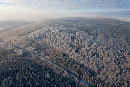 Aerial shot of mixed forest in winter, near Hanover, Lower Saxony, Germany