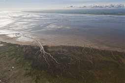 Aerial of tidal inlets in mudflats, Wadden Sea, Lower Saxony, Germany