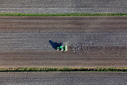 Traktor bei der Feldarbeit, Niedersachsen, Deutschland