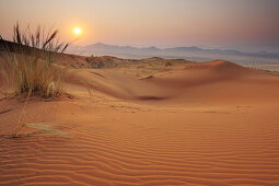 Sonnenaufgang über roten Sanddünen mit Tirasberge im Hintergrund, Namib Rand Nature Reserve, Namibwüste, Namibia
