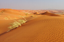 Red sand dunes in Namib Rand Nature Reserve, Namib desert, Namibia