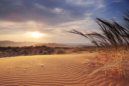 Sunrise over red sand dunes with Tiras mountains in background, Namib desert, Namibia