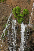 Water and moss at a wall, Canal de Castilla, Fromista, Province of Palencia, Old Castile, Catile-Leon, Castilla y Leon, Northern Spain, Spain, Europe