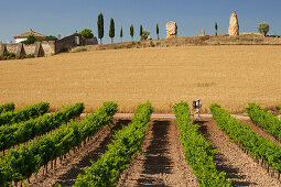 Pilger an einem Weinfeld, Cirauqui, Navarra, Spanien