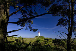 Blick auf den Leuchtturm Dornbusch im Sonnenlicht, Insel Hiddensee, Mecklenburg-Vorpommern, Deutschland, Europa