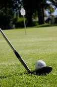 Golf ball and golfclub, Prien am Chiemsee, Bavaria, Germany