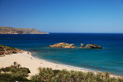 Palmenstrand von Vai, größter natürlicher Palmenhain Europas, Vai, Präfektur Lasithi, Kreta, Giechenland