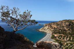 Blick über die Bucht von Agia Fotia, Agia Fotia, Präfektur Lasithi, Kreta, Griechenland