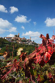 Cisterna d'Asti, Monferrato, Piemont, Italien