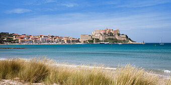 Blick zur Zitadelle, Calvi, Korsika, Frankreich