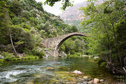 Old genovese stone bridge over the River Porto near the village of Ota, Spelunca Gorges, Corsica, France, Europe