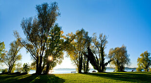 Afternoon  light on the west side of the Fraueninsel, Chiemsee, Chiemgau, Upper Bavaria, Bavaria, Germnay