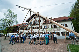 Maibaum aufstellen, Maibaum, Sindelsdorf, Weilheim-Schongau, Bayerisches Oberland, Oberbayern, Bayern, Deutschland