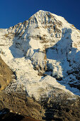 Snowy Moench under blue sky, Kleine Scheidegg, Grindelwald, UNESCO World Heritage Site Swiss Alps Jungfrau - Aletsch, Bernese Oberland, Bern, Switzerland, Europe