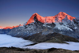 Alpenglow at Eiger and Moench above Kleine Scheidegg, sea of fog above Grindelwald, Kleine Scheidegg, Grindelwald, UNESCO World Heritage Site Swiss Alps Jungfrau - Aletsch, Bernese Oberland, Bern, Switzerland, Europe