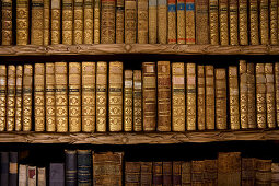 Bücher in der Stiftsbibliothek im Kloster Waldsassen, eine Abtei der Zisterzienserinnen in Waldsassen, Oberpfalz, Bayern, Deutschland, Europa