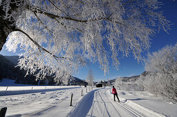 Frau beim Skilanglauf bei Kössen im Kaiserwinkl, Winter in Tirol, Österreich