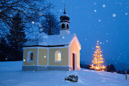 Kapelle mit Christbaum bei Schneetreiben, Oberbayern, Deutschland, Europa