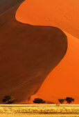 Rote Sanddünen im Sossusvlei, Sossusvlei, Namib Naukluft National Park, Namibwüste, Namib, Namibia, Afrika