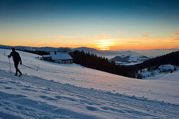 Cross-country skier in sunset, St Peter, Black Forest, Baden-Wurttemberg, Germany