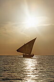 Dau segelt entlang dem Stadtstrand von Stonetown, Sansibar City, Sansibar, Tansania, Afrika