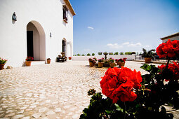 Courtyard of Hotel, Antequera, Andalucia, Spain
