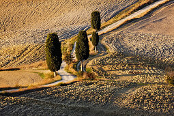 Winding Dirt Road and Cypress Trees, Pienza, Tuscany, Italy