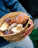 Korb mit Kiefernsteinpilz, San Martin del Pimpollar, Sierra de Gredos, Kastilien-Leon, Spanien