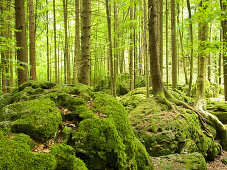 Druidenhain, Little Switzerland, Upper Franconia, Bavaria, Germany