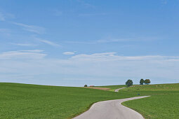 Country road near Degerndorf, Bavaria, Germany