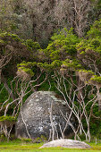 Granite rocks at Tidal River, Wilsons Promontory National Park, Victoria, Australia